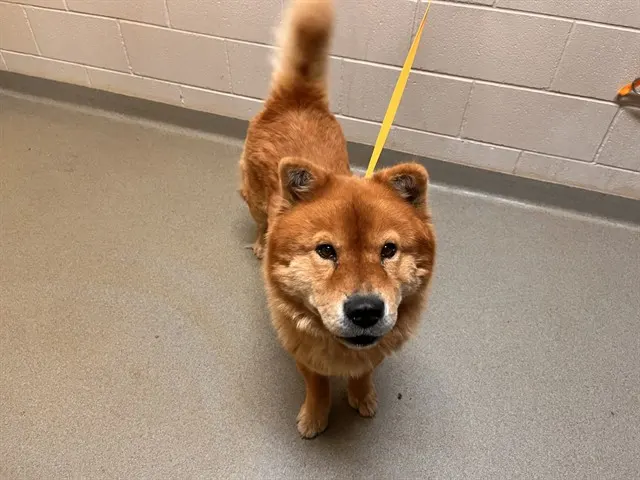 Max