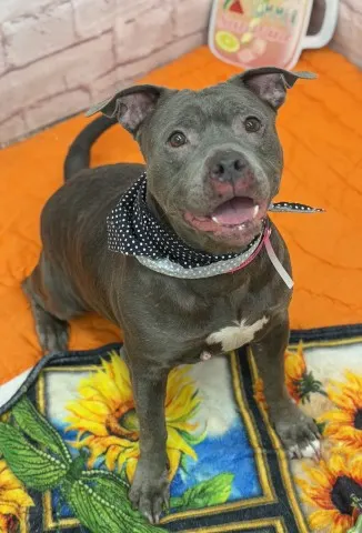 Bonnie