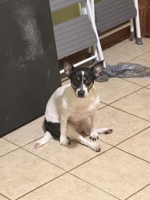 Rita
