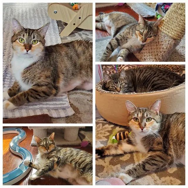 Precious