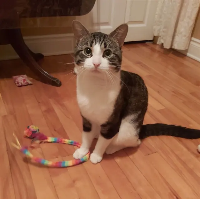 Pablo