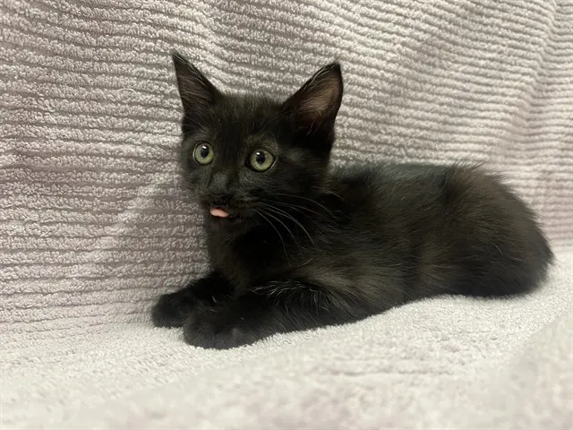 Zoe