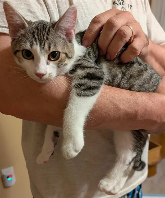 Juno