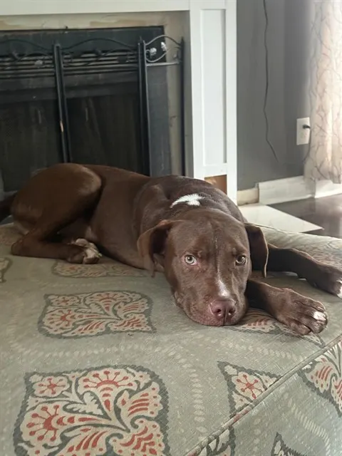 Dopey
