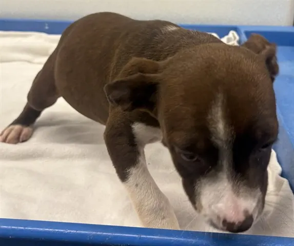 Conway