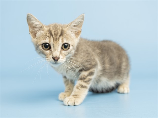Sebastian