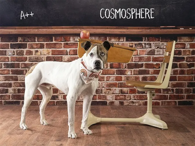 Cosmosphere
