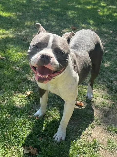 Betty
