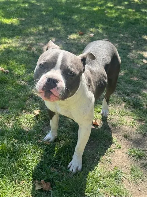 Betty