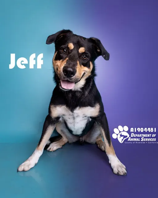 Jeff