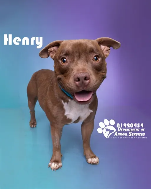 Henry