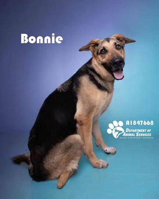 Bonnie