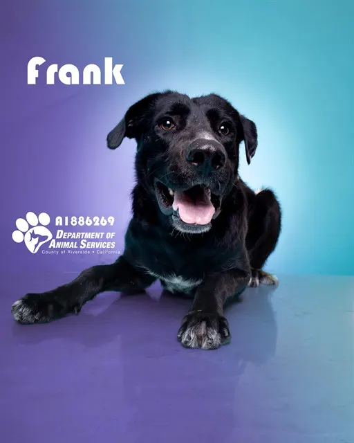 Frank