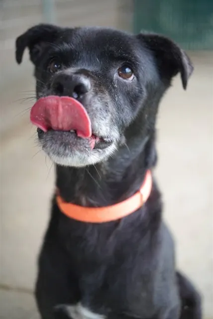 Max