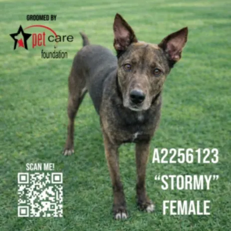 Stormy