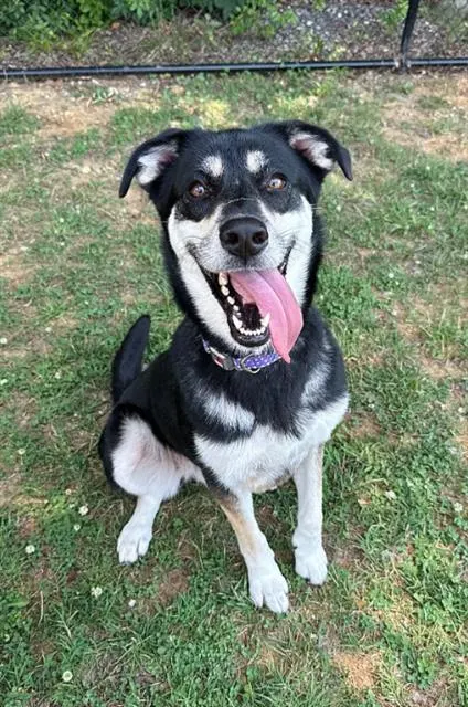 Tina