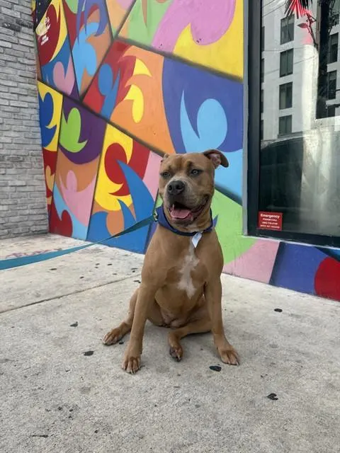Santana