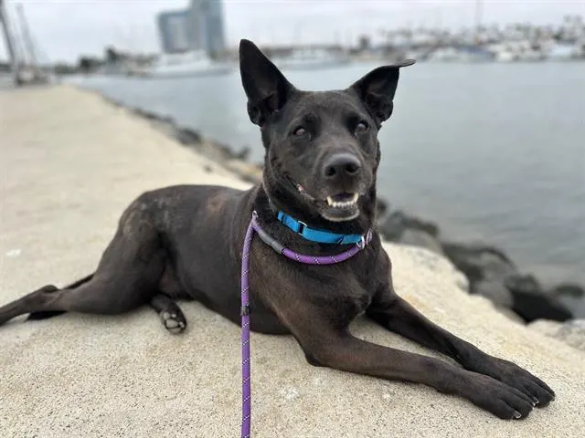 Bella