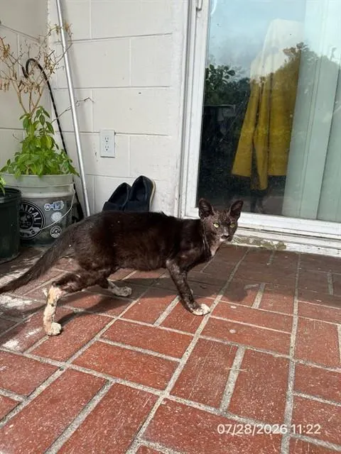 Milo