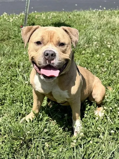 Marco