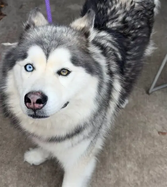 Luna