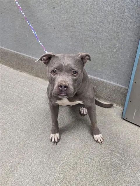 *Elsa