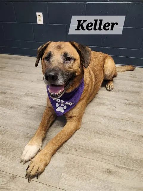 Keller
