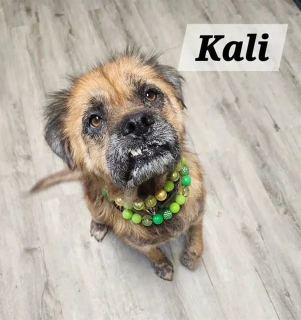 Kali