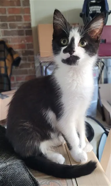 Leeloo