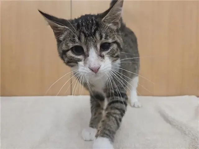 Karma