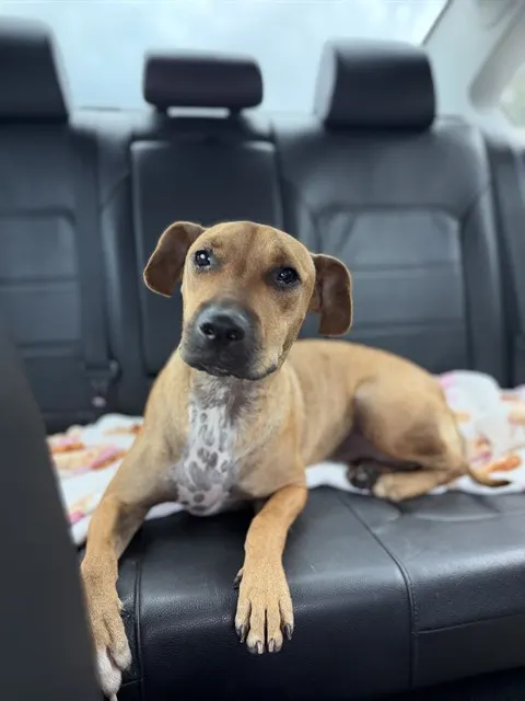 Max