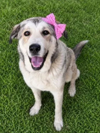 Frida