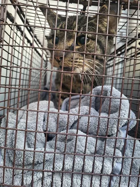 Sebastian