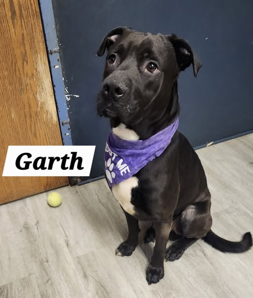 Garth