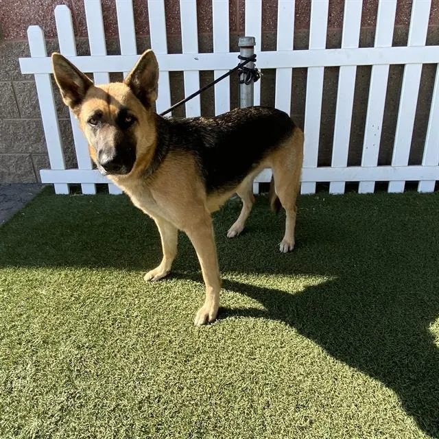 *Nala