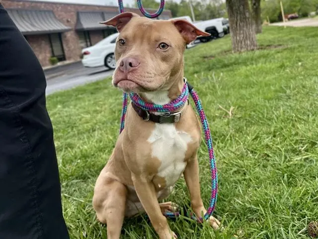 Jada