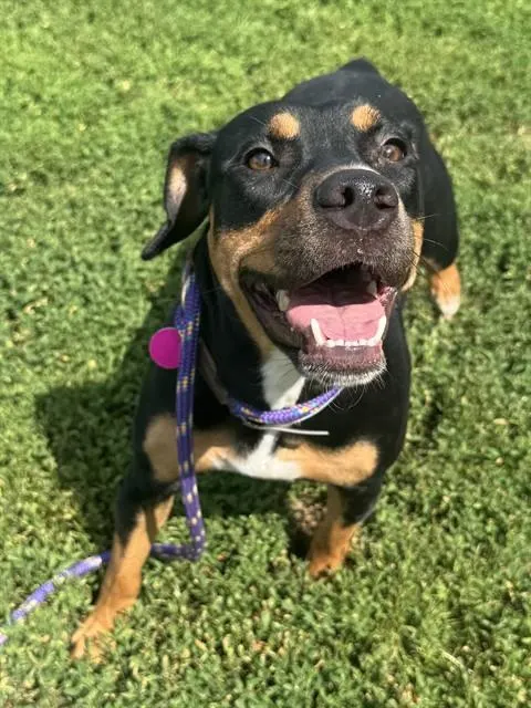 Andi In Kansas
