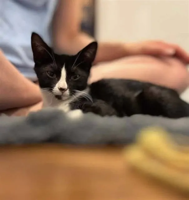 Penny