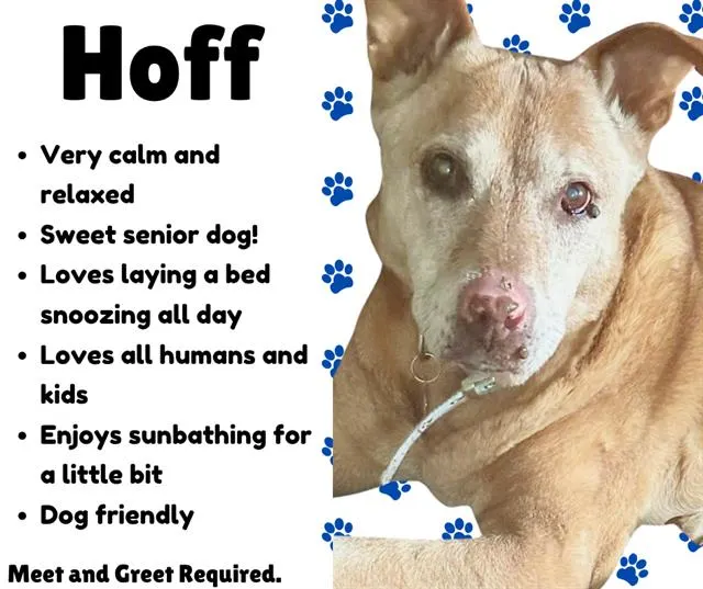 Hoff