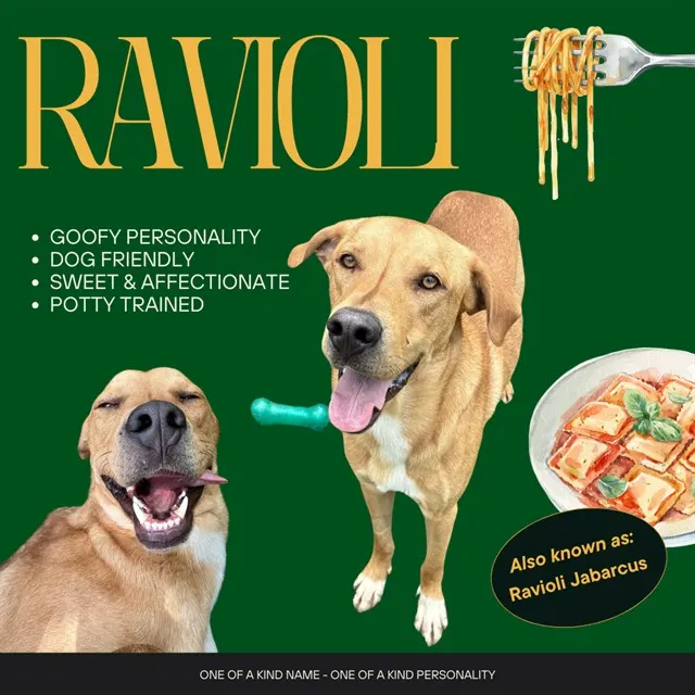 Ravioli