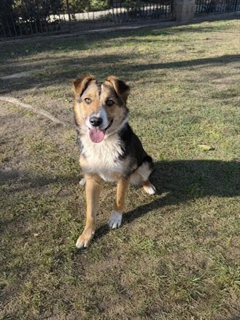 Remington