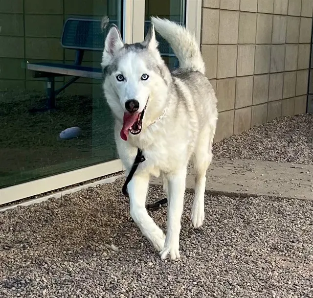 Max