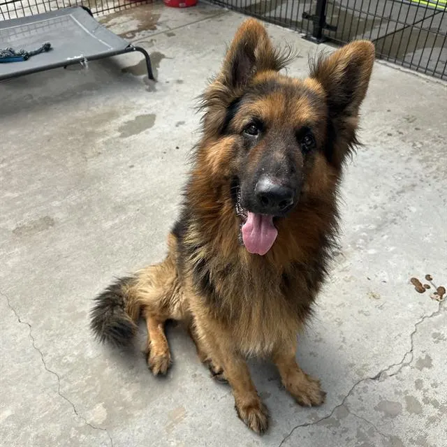 Nash