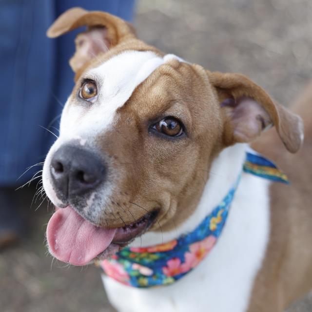 Fiona