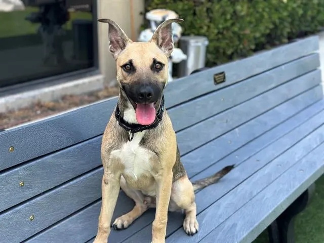 Logan