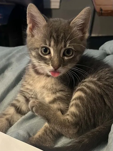 Helen