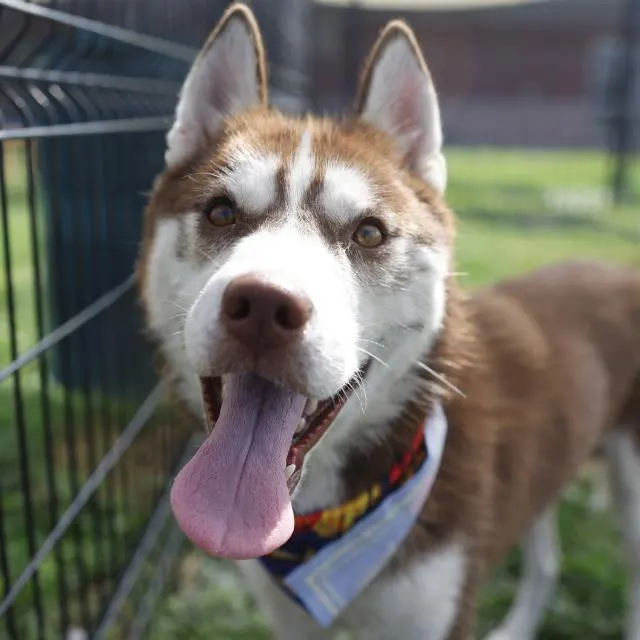 Sam