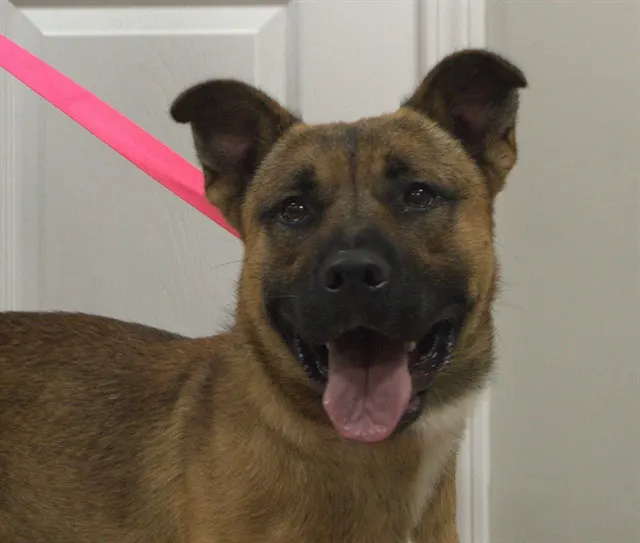 *Sarge*