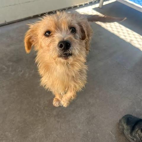 Benny