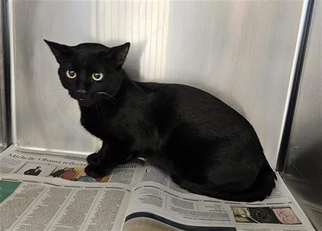 Salem